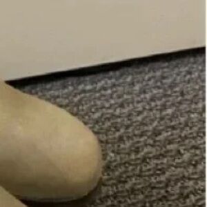 Meet your Posher, Dodg